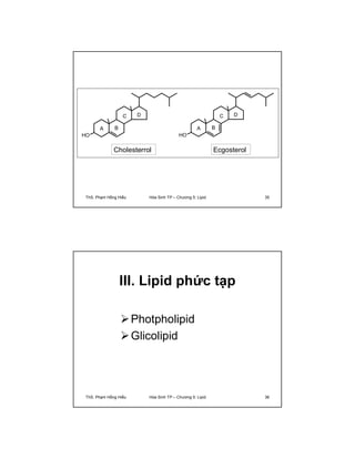 HO 
A B 
C D 
HO 
A B 
C D 
Cholesterrol Ecgosterol 
ThS. Phạm Hồng Hiếu Hóa Sinh TP – Chương 5: Lipid 35 
III. Lipid phức tạp 
Photpholipid 
Glicolipid 
ThS. Phạm Hồng Hiếu Hóa Sinh TP – Chương 5: Lipid 36 
 
