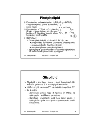 Photpholipid 
 Photpholipid = diaxylglixerin + H3PO4 
+ hợp chất phụ X (colin, etanolamin, 
serin, inozit) 
 Photpholipid = TP bắt buộc của màng 
tế bào, nhiều ở hạt cây lấy dầu, cây 
họ đâu, mô thần kinh, lòng đỏ trứng, 
hồng cầu, tinh trùng ĐV 
CH2 – OCOR1 
CH – OCOR2 
OH 
CH2 – O – P = O 
O – X 
 Có 2 nhóm: 
– Glixerophotpholipid: photphatit ở TV bậc cao 
• photphattityl etanolamin (xephalin): X=etanolamin 
• photphatityl colin (lơxithin): X=colin 
• photphatityl serin, photphatityl inozit 
– Sphingolipid: glixerin+acid béo+colin+acid photphoric 
và amino của rượu chưa no sphingozin 
ThS. Phạm Hồng Hiếu Hóa Sinh TP – Chương 5: Lipid 37 
Glicolipid 
 Glicolipid = acid béo + rượu + gluxit (galactoza/ dẫn 
xuất của galactoza là N – axetyl galcatozamin) 
 Nhiều trong lá xanh của TV, mô thần kinh người và ĐV 
 Có 2 nhóm: 
– Xerebrozit: amino rượu 2 nguyên tử không no 
sphingozin + acid béo + gaclactoza 
– Gangliozit (mucolipid): acid béo (acid steric) + 
sphingozin + galactoza, glucoza, galatozamin + acid 
neuraminic 
ThS. Phạm Hồng Hiếu Hóa Sinh TP – Chương 5: Lipid 38 
 