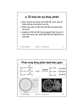 a. Ôi hoá do sự thủy phân 
 Xảy ra dưới tác dụng của nhiệt độ, acid, baz có 
hoặc không có enzyme xúc tác. 
 Phản ứng xảy ra trên bề mặt tiếp xúc giữa lipid 
và nước. 
 Lipase có thể có sẵn trong nguyên liệu hay do vi 
sinh vật mang vào, phân giải lipid tạo glycerol và 
acid béo 
ThS. Phạm Hồng Hiếu Hóa Sinh TP – Chương 5: Lipid 41 
Phản ứng thủy phân lipid đơn giản 
Lipase R1COOH 
+ R2COOH 
R3COOH 
+ H2O 
ThS. Phạm Hồng Hiếu Hóa Sinh TP – Chương 5: Lipid 42 
 