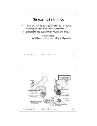 Sự oxy hoá sinh học 
 Phản ứng xảy ra dưới sự xúc tác của enzyme 
lipoxygenase (qua chu trình -oxyhoá) 
 Sản phẩm của quá trình có mùi ôi khó chịu: 
Lypoxygenase 
Acid béo alcyl metylceton 
ThS. Phạm Hồng Hiếu Hóa Sinh TP – Chương 5: Lipid 47 
ThS. Phạm Hồng Hiếu Hóa Sinh TP – Chương 5: Lipid 48 
 