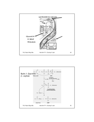 Glycerol-3-P 
 DHAP 
Glycolysis 
ThS. Phạm Hồng Hiếu Hóa Sinh TP – Chương 5: Lipid 49 
Bước 1. Quá trình 
 - oxyhoá 
ThS. Phạm Hồng Hiếu Hóa Sinh TP – Chương 5: Lipid 50 
 