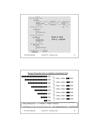 Bước 2. Quá 
trình  - oxyhoá 
ThS. Phạm Hồng Hiếu Hóa Sinh TP – Chương 5: Lipid 51 
ThS. Phạm Hồng Hiếu Hóa Sinh TP – Chương 5: Lipid 52 
 