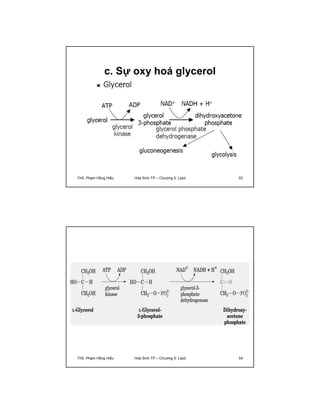c. Sự oxy hoá glycerol 
ThS. Phạm Hồng Hiếu Hóa Sinh TP – Chương 5: Lipid 53 
ThS. Phạm Hồng Hiếu Hóa Sinh TP – Chương 5: Lipid 54 
 