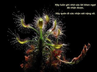 Hãy luôn ghi nhớ các lời khen ngợi đã nhận được. Hãy quên đi các nhận xét nặng nề. 