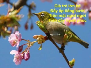 Già trẻ lớn bé Đầy ắp tiếng cười Trên mặt ngời ngời Tràn đầy hạnh phúc