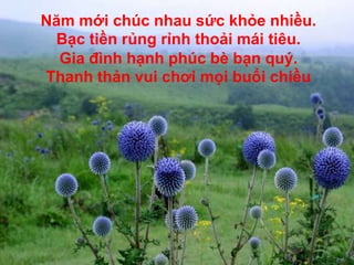 Năm mới chúc nhau sức khỏe nhiều. Bạc tiền rủng rỉnh thoải mái tiêu. Gia đình hạnh phúc bè bạn quý. Thanh thản vui chơi mọi buổi chiều
