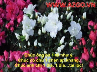 WWW.AZGO.VNChúc ông bà 1 tô như ý.Chúc cô chú 1 chén an khang.Chúc anh chị 1 dĩa, 1 dĩa…tài lộc!