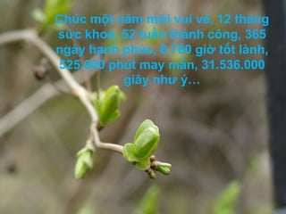 Chúc một năm mới vui vẻ, 12 tháng sức khoẻ, 52 tuần thành công, 365 ngày hạnh phúc, 8.760 giờ tốt lành, 525.600 phút may mắn, 31.536.000 giây như ý…