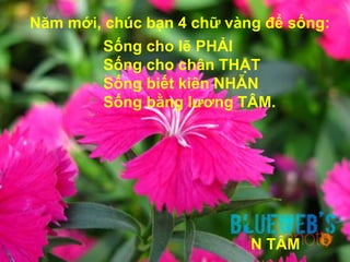 Năm mới, chúc bạn 4 chữ vàng để sống:Sống cho lẽ PHẢISống cho chân THẬTSống biết kiên NHẪNSống bằng lương TÂM.Tóm lại là : PHẢI THẬT NHẪN TÂM 
