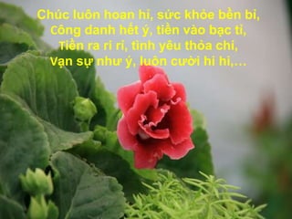 Chúc luôn hoan hỉ, sức khỏe bền bỉ, Công danh hết ý, tiền vào bạc tỉ, Tiền ra ri rỉ, tình yêu thỏa chí, Vạn sự như ý, luôn cười hi hi,…