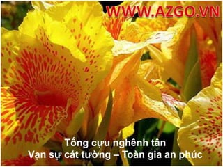 WWW.AZGO.VNTống cựu nghênh tân Vạn sự cát tường – Toàn gia an phúc