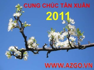CUNG CHÚC TÂN XUÂN 2011WWW.AZGO.VN