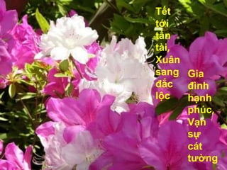 Tết tới tấn tài, Xuân sang đắc lộcGia đình hạnh phúc, Vạn sự cát tường