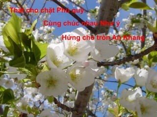 Thắt cho chặt Phú quý. Cùng chúc nhau Như ýHứng cho tròn An Khang