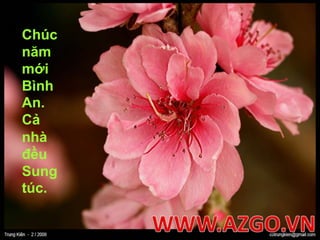 Chúc năm mới Bình An. Cả nhà đều Sung túc.WWW.AZGO.VN