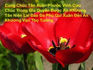 Cung Chúc Tân Xuân Phước Vĩnh Cửu Chúc Trong Gia Quyến Được An Khương Tân Niên Lai Đáo Đa Phú Quí Xuân Đến An Khương Vạn Thọ Tường
