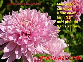 Mùa xuân xin chúc Khúc ca an bình Năm mới phát tài Vạn sự như ýWWW.AZGO.VN