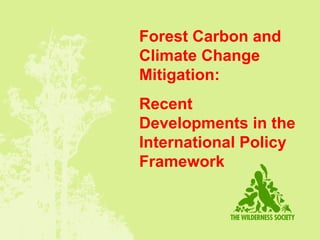 Forest Carbon and
Climate Change
Mitigation:
Recent
Developments in the
International Policy
Framework
 