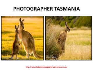 PHOTOGRAPHER TASMANIA

http://www.hobartphotographertasmania.com.au/

 