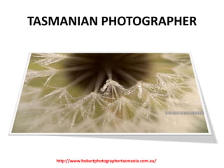 TASMANIAN PHOTOGRAPHER

http://www.hobartphotographertasmania.com.au/

 