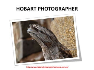 HOBART PHOTOGRAPHER

http://www.hobartphotographertasmania.com.au/

 