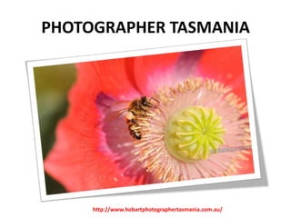 PHOTOGRAPHER TASMANIA

http://www.hobartphotographertasmania.com.au/

 