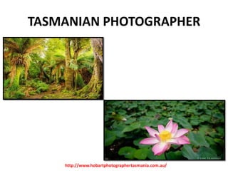 TASMANIAN PHOTOGRAPHER

http://www.hobartphotographertasmania.com.au/

 