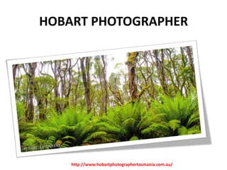 HOBART PHOTOGRAPHER

http://www.hobartphotographertasmania.com.au/

 