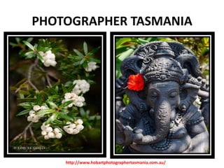 PHOTOGRAPHER TASMANIA

http://www.hobartphotographertasmania.com.au/

 