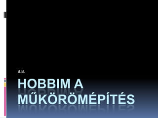 B.B.


HOBBIM A
MŰKÖRÖMÉPÍTÉS
 