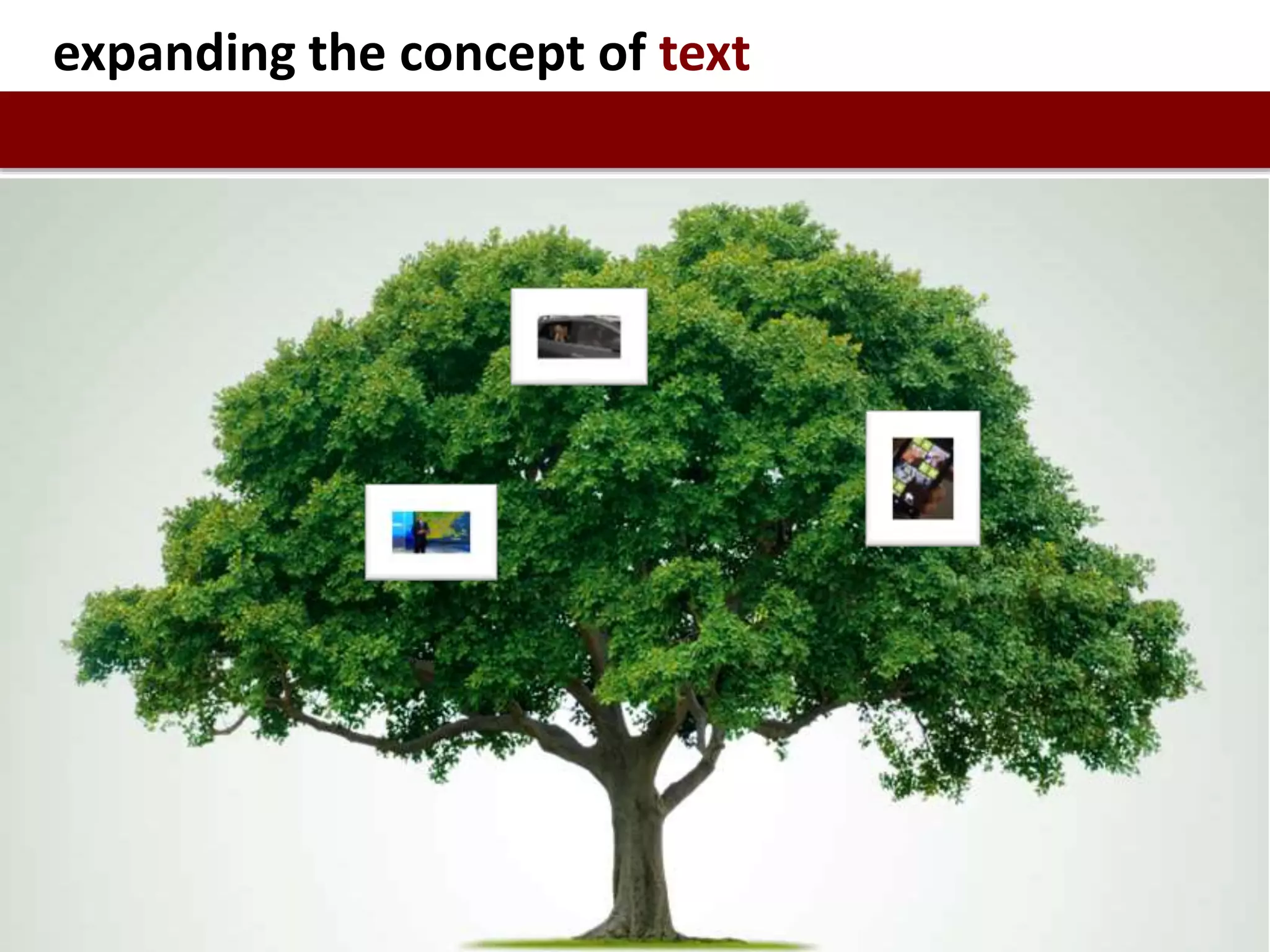 expanding the concept of text
 