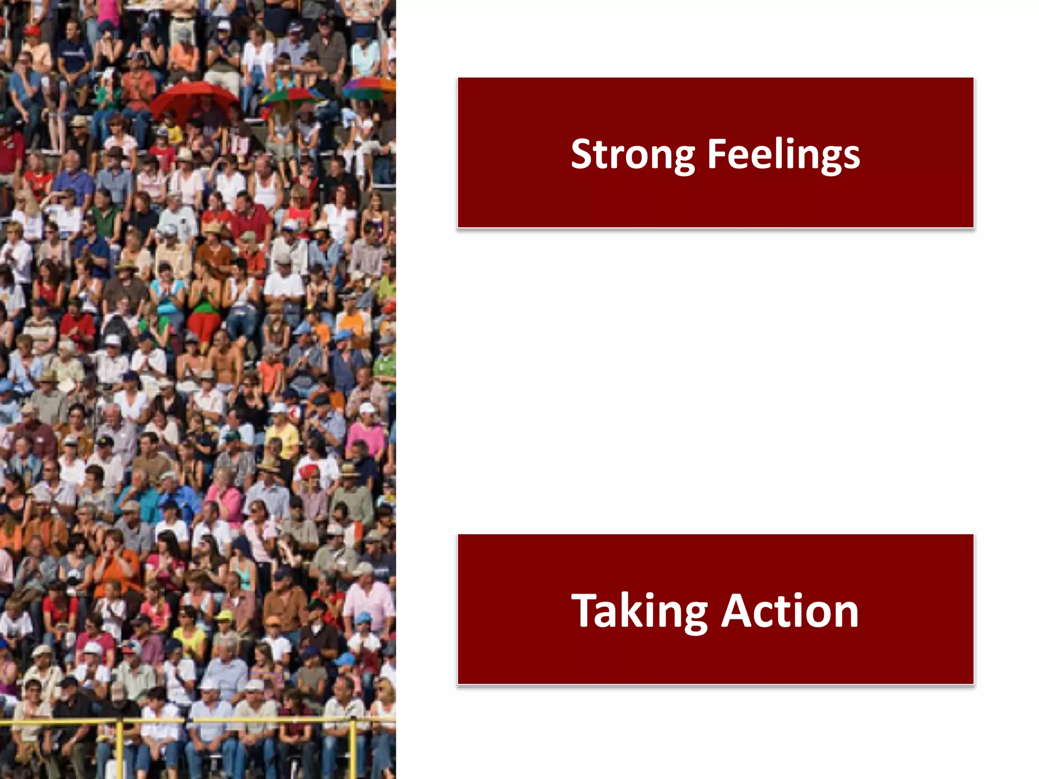 Strong Feelings
Taking Action
 