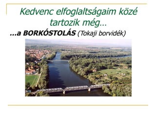 Kedvenc elfoglaltságaim közé tartozik még… … a BORKÓSTOLÁS  (Tokaji borvidék) 