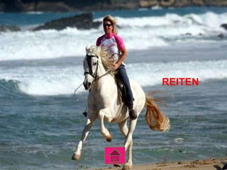 REITEN
 