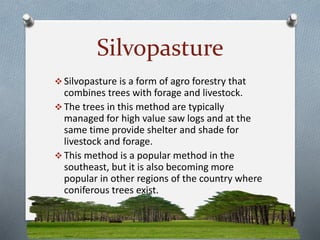 Agro forestry | PDF