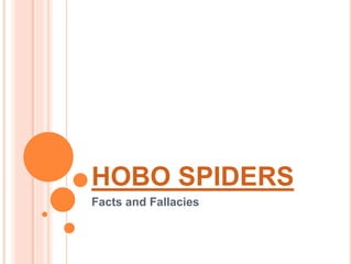 HOBO SPIDERS 
Facts and Fallacies 
 