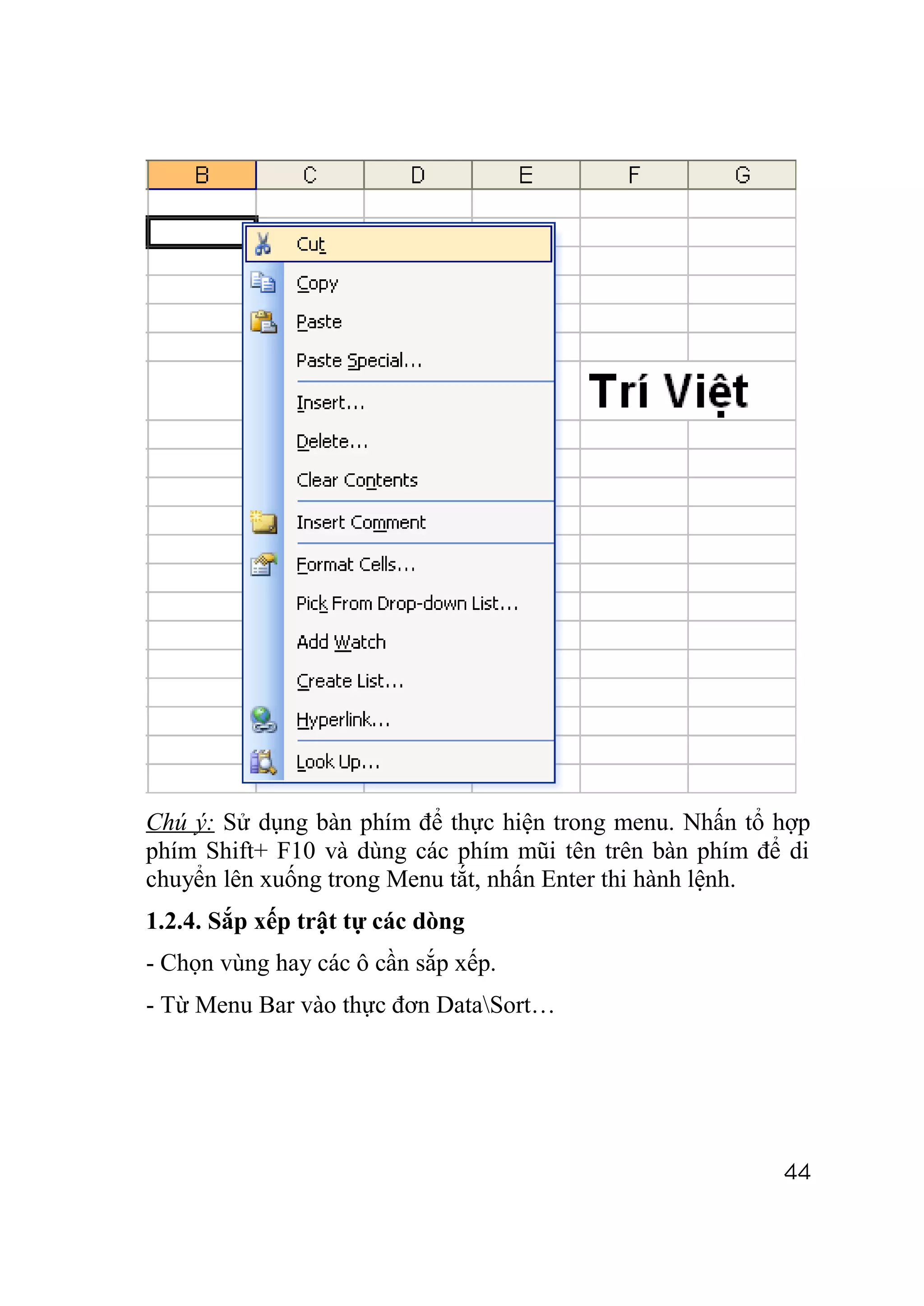 Chú ý: Sử dụng bàn phím để thực hiện trong menu. Nhấn tổ hợp
phím Shift+ F10 và dùng các phím mũi tên trên bàn phím để di
chuyển lên xuống trong Menu tắt, nhấn Enter thi hành lệnh.
1.2.4. Sắp xếp trật tự các dòng
- Chọn vùng hay các ô cần sắp xếp.
- Từ Menu Bar vào thực đơn DataSort…




                                                         44
 