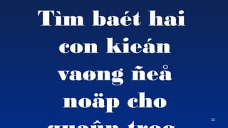 32
Tm bat hai
con kien
va?ng ?e?
no?p cho
 
