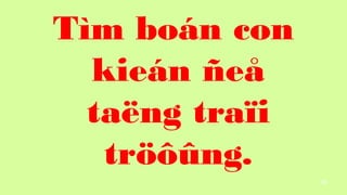 88
Tm bon con
kien ?e?
ta?ng tra?i
tr???ng.
 