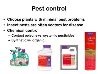 Pest control
• Choose plants with minimal pest problems
• Insect pests are often vectors for disease
• Chemical control
– Contact poisons vs. systemic pesticides
– Synthetic vs. organic
 