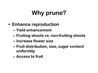 Why prune?
• Enhance reproduction
– Yield enhancement
– Fruiting shoots vs. non-fruiting shoots
– Increase flower size
– Fruit distribution, size, sugar content
uniformity
– Access to fruit
 