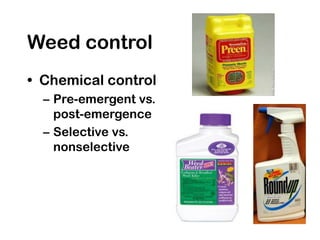 Weed control
• Chemical control
– Pre-emergent vs.
post-emergence
– Selective vs.
nonselective
 