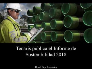 Tenaris publica el Informe de
Sostenibilidad 2018
Hocal Pipe Industries
 