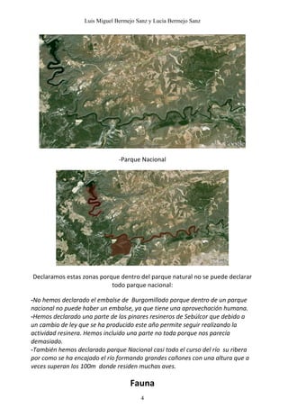 Luis Miguel Bermejo Sanz y Lucía Bermejo Sanz




                               -Parque Nacional




Declaramos estas zonas porque dentro del parque natural no se puede declarar
                           todo parque nacional:

-No hemos declarado el embalse de Burgomillodo porque dentro de un parque
nacional no puede haber un embalse, ya que tiene una aprovechación humana.
-Hemos declarado una parte de los pinares resineros de Sebúlcor que debido a
un cambio de ley que se ha producido este año permite seguir realizando la
actividad resinera. Hemos incluido una parte no toda porque nos parecía
demasiado.
-También hemos declarado parque Nacional casi todo el curso del río su ribera
por como se ha encajado el río formando grandes cañones con una altura que a
veces superan los 100m donde residen muchas aves.

                                   Fauna
                                       4
 