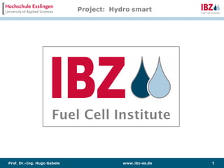Project: Hydro smart




Prof. Dr.-Ing. Hugo Gabele               www. ibz-es.de   1
 