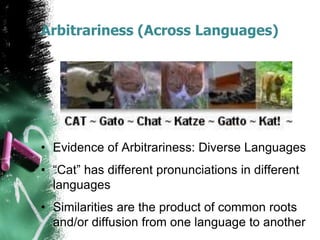 Arbitrariness (Across Languages)
• Evidence of Arbitrariness: Diverse Languages
• “Cat” has different pronunciations in different
languages
• Similarities are the product of common roots
and/or diffusion from one language to another
 
