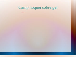 Camp hoquei sobre gel 