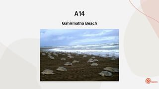 A14
Gahirmatha Beach
 