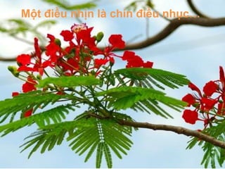Một điều nhịn là chín điều nhục…
 