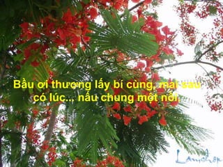 Bầu ơi thương lấy bí cùng, mai sau
có lúc... nấu chung một nồi.
 